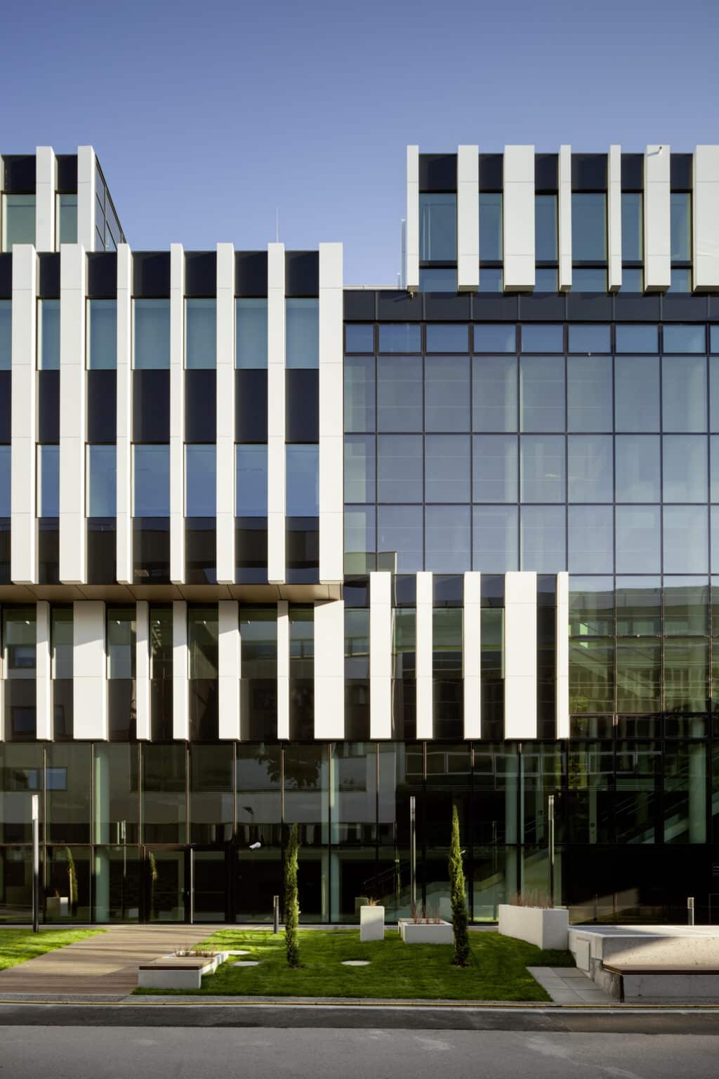 Boehringer IMP, Wien; 
Aufnahmedatum: 14.10.2016, 22.10.2016, 31.10.2016, 18.11.2016, 21.11.2016