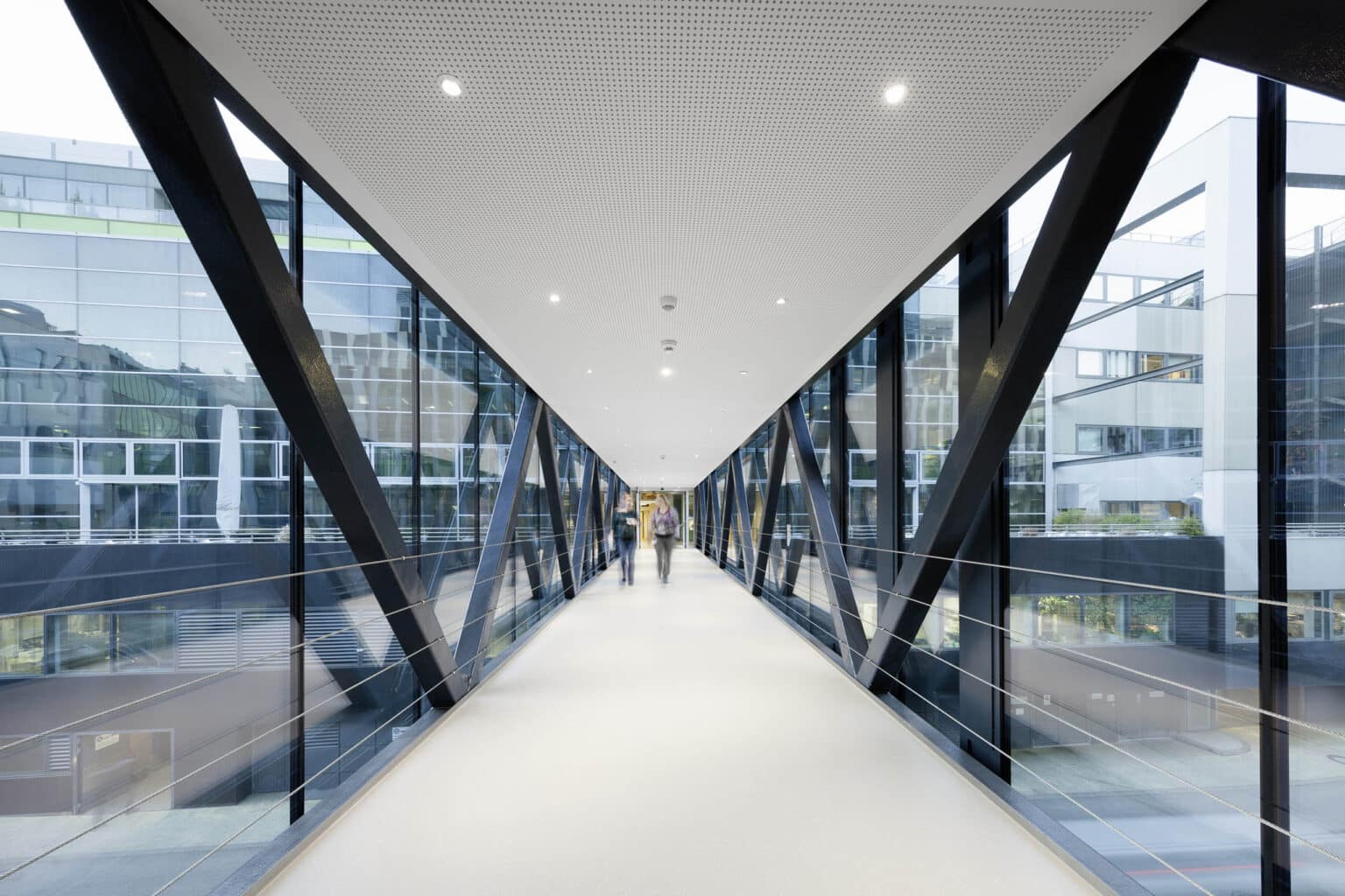 Boehringer IMP, Wien; 
Aufnahmedatum: 14.10.2016, 22.10.2016, 31.10.2016, 18.11.2016, 21.11.2016